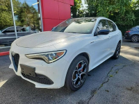 STELVIO Veloce Katowice - zdjęcie 1