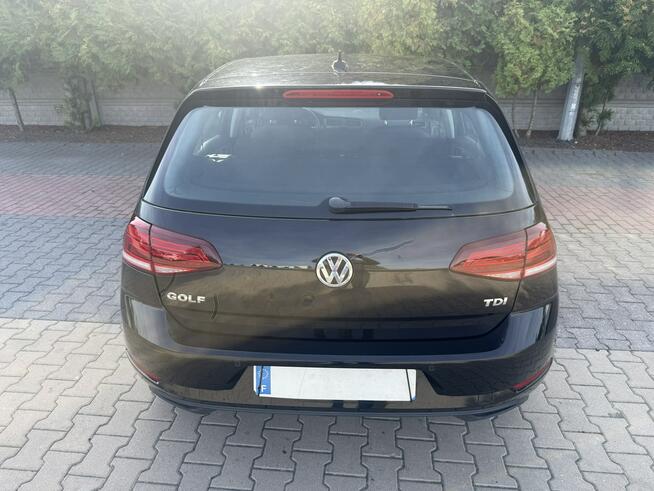 Volkswagen Golf Zielona Łąka - zdjęcie 2