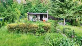 Sprzedam ROD "Przylesie" Leszno