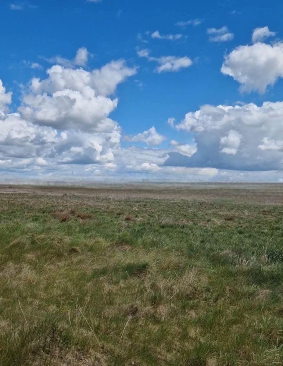 Działka z WZ Borsukówka gm. Dobrzyniewo Duże Borsukówka - zdjęcie 2