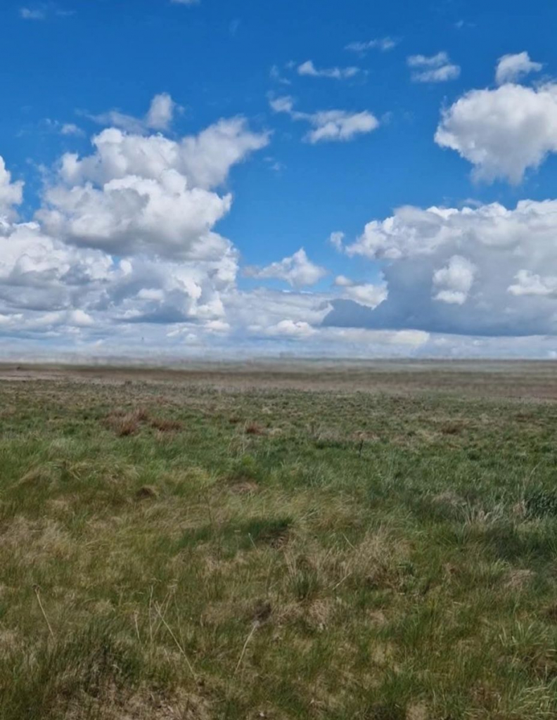 Działka z WZ Borsukówka gm. Dobrzyniewo Duże Borsukówka - zdjęcie 2