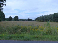 Działki rolno-budowlane razem 8,85ha Małomin - zdjęcie 6