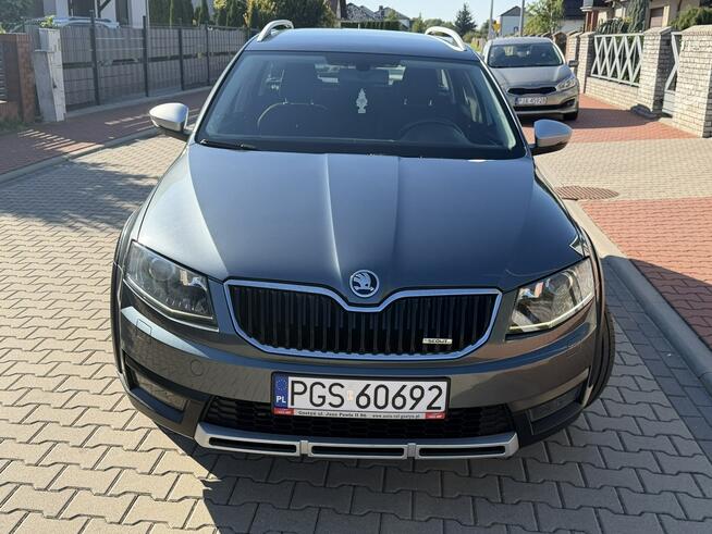 Skoda Octavia Scout 4x4 2.0TDI 2014 Automat Gostyń - zdjęcie 2