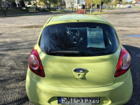 Ford KA Żory - zdjęcie 6