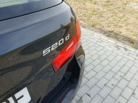 520d 184KM 2012r Automat Raty Zamiana Strobice - zdjęcie 12