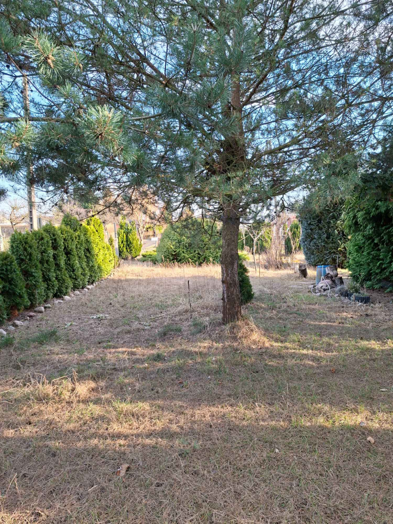 Sprzedam dzialkę ROD 4-marca Stargard Stargard - zdjęcie 3