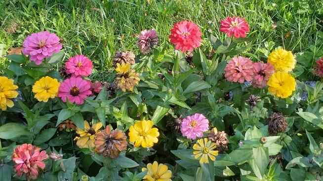 Pilnie Sprzedam Działkę Rekreacyjną Krzyki - zdjęcie 4