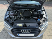 Audi A3 Zielona Łąka - zdjęcie 9