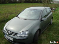 Volkswagen Golf V 2004 2,0 TDI Krzywda - zdjęcie 6