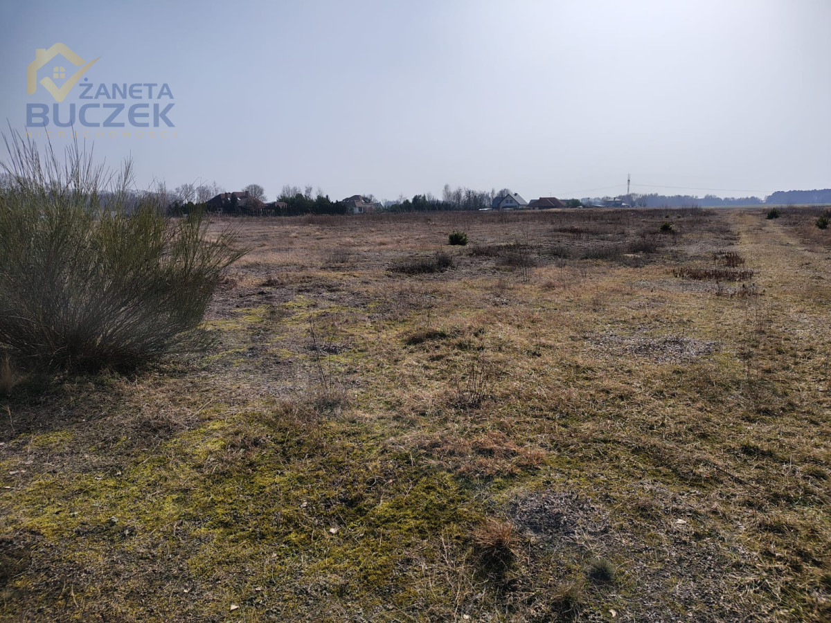 Sprzedam działki rolne o pow. 4029 w Skarbikowie Skarbikowo - zdjęcie 8