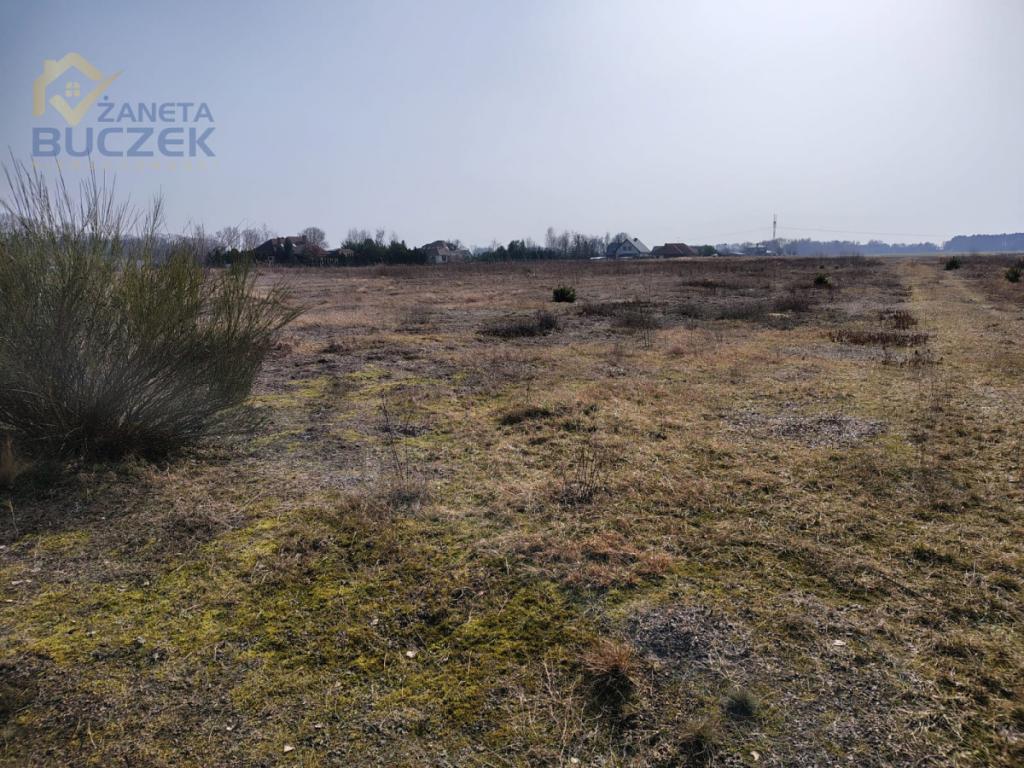 Sprzedam działki rolne o pow. 4029 w Skarbikowie Skarbikowo - zdjęcie 8