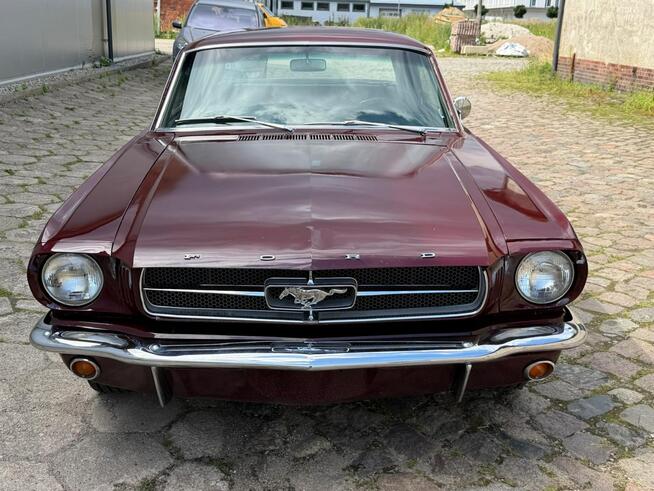1965 Ford Mustang 289 v8 Automat Sprowadzony LUXURYCLASSIC Koszalin - zdjęcie 2