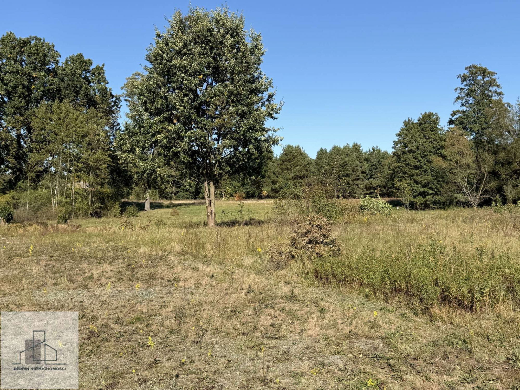 Działki budowlane 1000 m², 1200 m² i większe przy Kampinosie – Gać Leoncin - zdjęcie 5