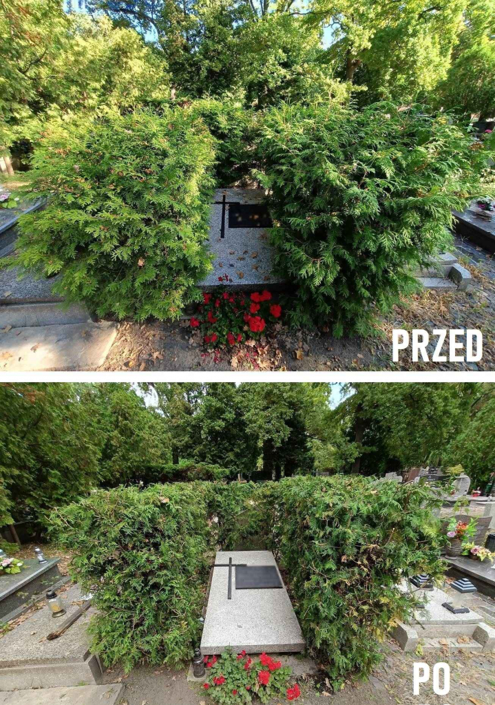 Sprzątanie i czyszczenie grobów | Opieka nad grobami - Wrocław/okolice Psie Pole - zdjęcie 4