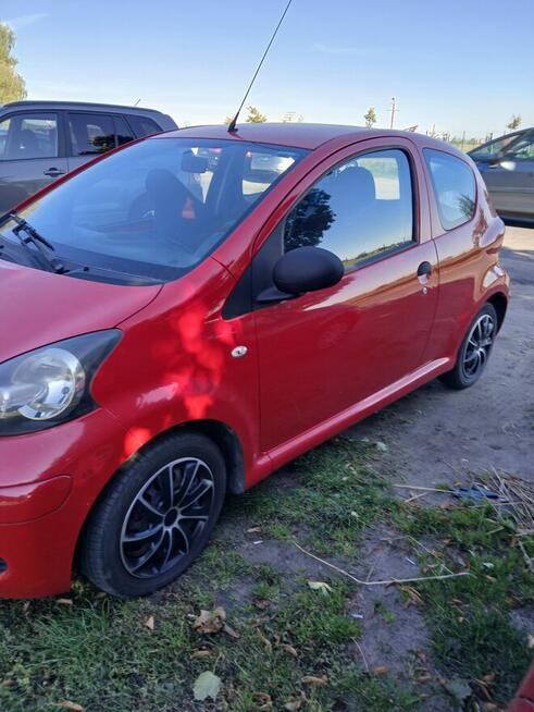 Sprzedam Kłoda - zdjęcie 4