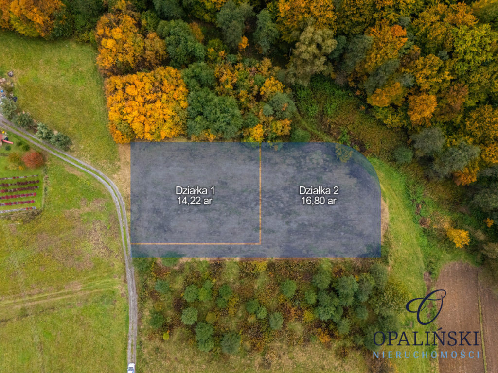 Działka pod lasem 16,80 ar z warunkami zabudowy Rzeszów - zdjęcie 2