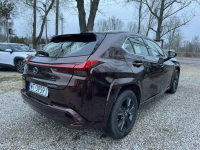 Lexus UX 250H 43 tyś km Ast. Pasa Distronic kamera Super Otwock Mały - zdjęcie 4
