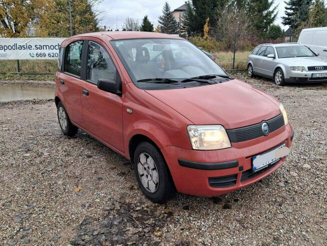 Fiat Panda 1.1 czysta benzyna Fasty - zdjęcie 3