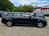 Audi A4 S-Line Led Serwis Bixenon ACC Parktronic Climatronik Gwarancja Szczecin - zdjęcie 4