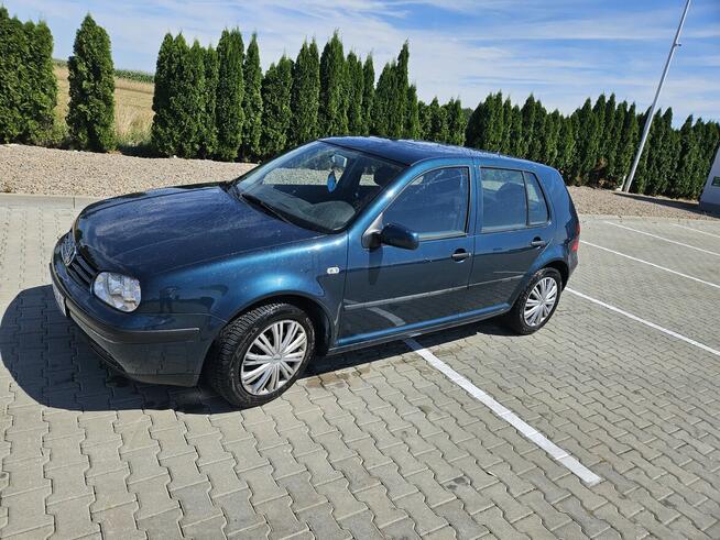 Volkswagen golf 4 1.4 Osiek - zdjęcie 1