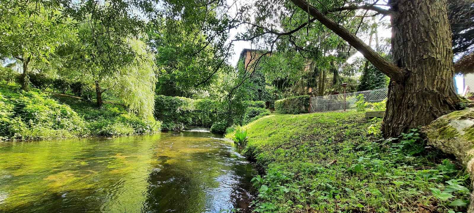 Agroturystyka nad rzeką Wel-Spływy kajakowe-Pole namiotowe z zapleczem Lidzbark - zdjęcie 12