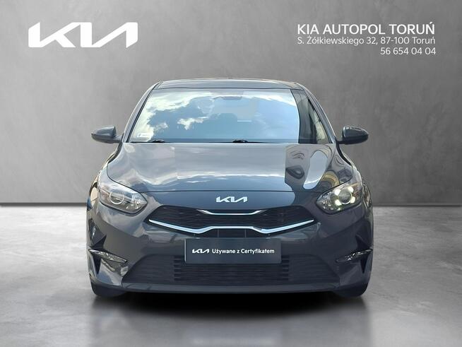 Kia Nowy Ceed 1.5 T-GDI 160KM/manual/serwisowany/1 właściciel Toruń - zdjęcie 8