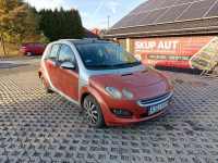 Smart Forfour 1.1 04r Brzozówka - zdjęcie 1