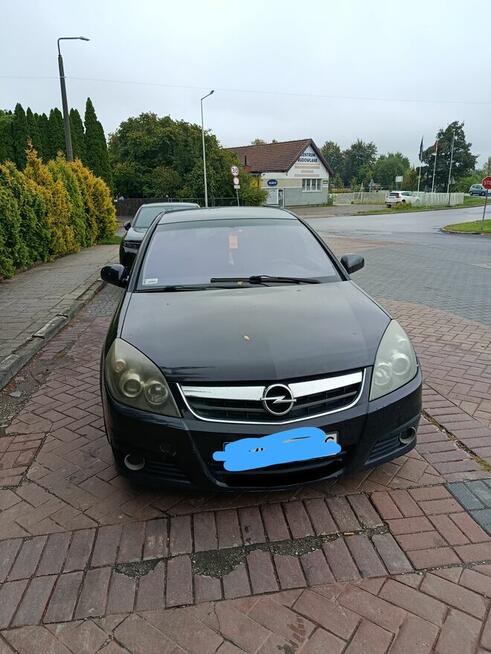 Sprzedam Opel Signum 2005r Piekary Śląskie - zdjęcie 3