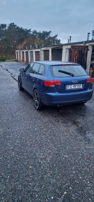 AUDI A3 2007 1.9TDI Zielona Góra - zdjęcie 2