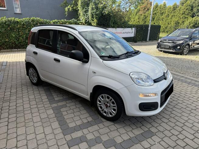 Fiat Panda 1,2 69KM  Klimatyzacja  1Właściciel Orzech - zdjęcie 4