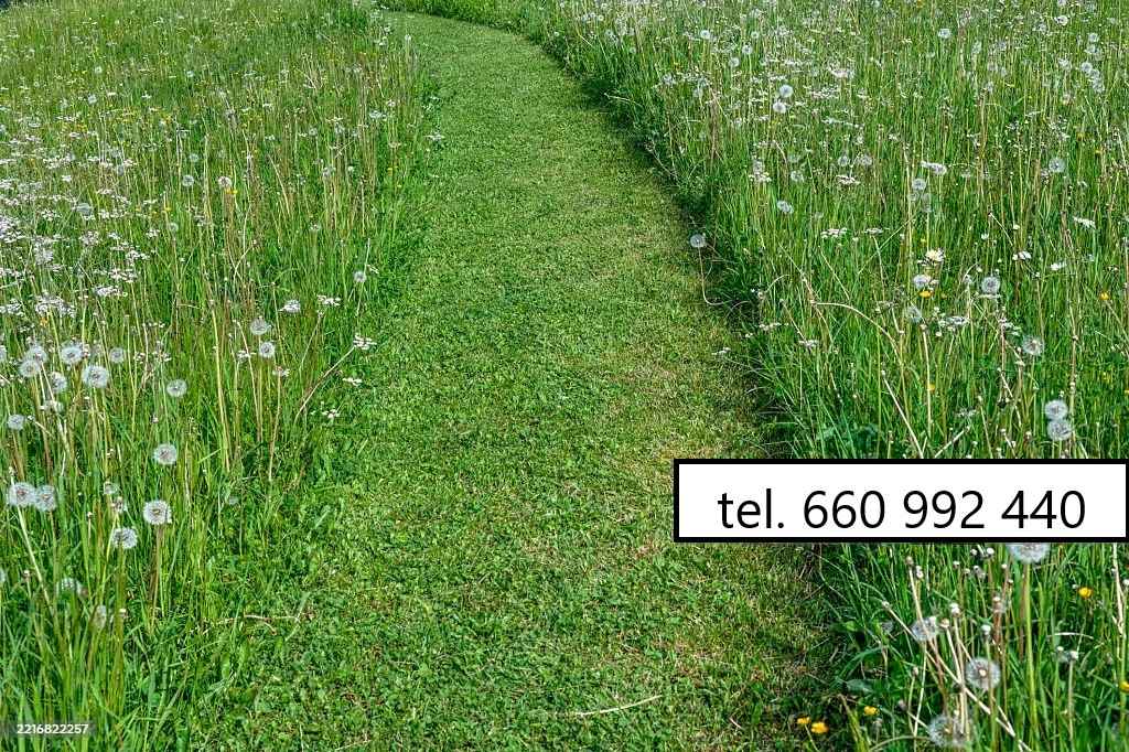 Koszenie trawników, jesienne prace ogrodowe Gdańsk - zdjęcie 10