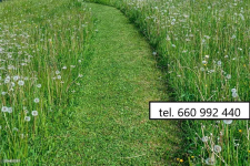 Koszenie trawników, jesienne prace ogrodowe Gdańsk - zdjęcie 10