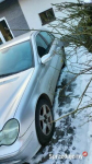 Mercedes-Benz C180 Avantgarde 2001 benzyna do poprawek Wólka Pełkińska - zdjęcie 4