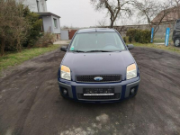 Ford Fusion Jarocin - zdjęcie 2