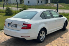 Skoda Octavia III 1.6 TDI 115KM Liftback Bemowo - zdjęcie 4