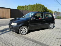 Volkswagen Polo 1.4 Nowy Sącz - zdjęcie 7