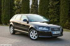 Audi A3 1.6MPI*102KM Ostrów Mazowiecka - zdjęcie 12