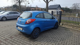 Ford Ka do sprzedazy Toruń Włościański - zdjęcie 3