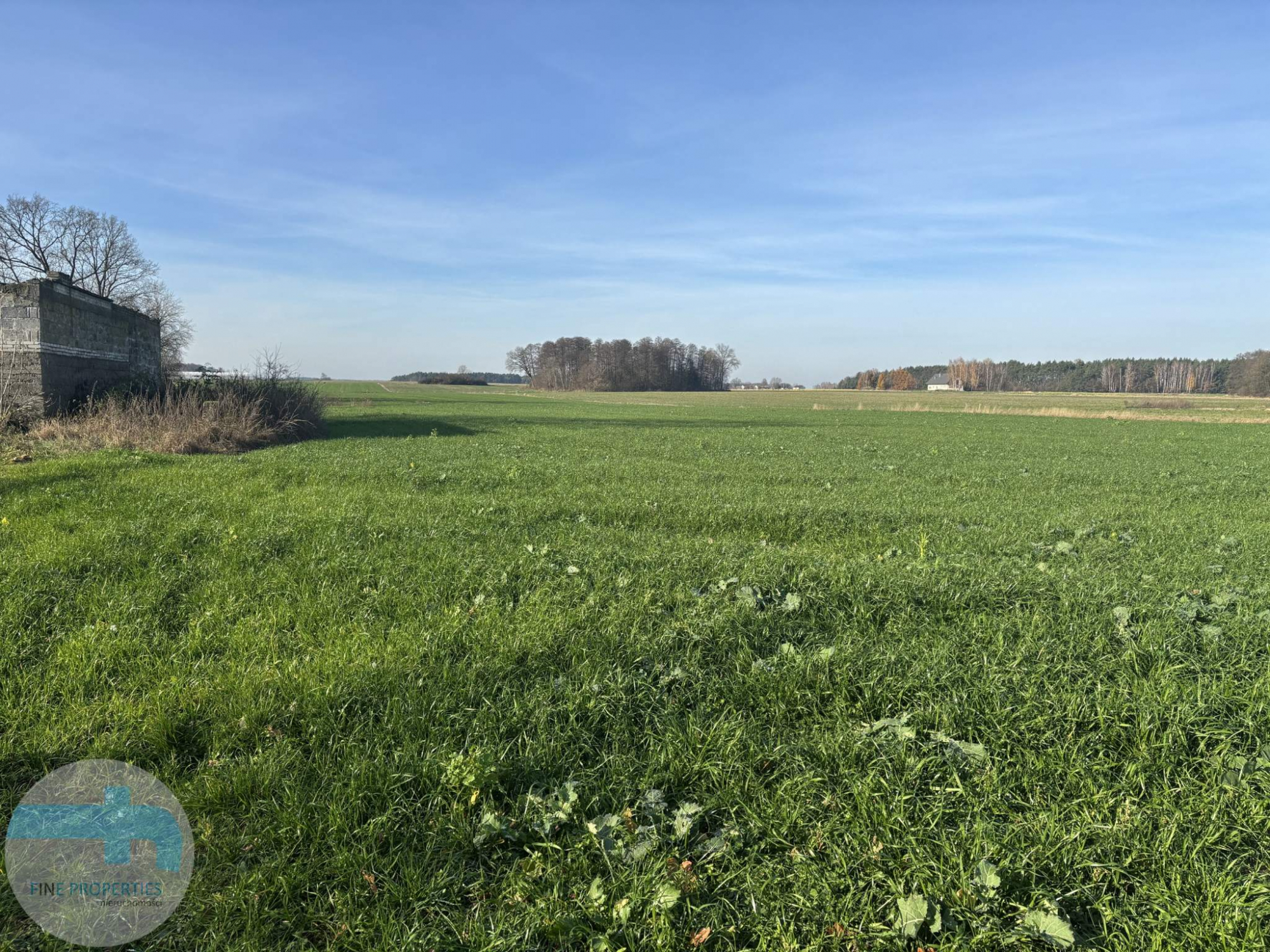 7,4 ha ziemi - idealne pod siedlisko, agroturystykę, stadninę Jaskółowo - zdjęcie 1