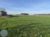 7,4 ha ziemi - idealne pod siedlisko, agroturystykę, stadninę