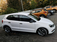 Volkswagen Polo Serwisowane w ASO.  Duża Navigacja. Rybnik - zdjęcie 6