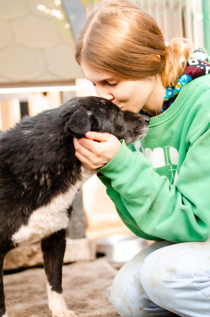 Wania - kochany psiak szuka domu! Olsztyn - zdjęcie 2