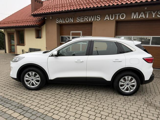 Ford Kuga 1,5 EcoBoost 120KM Orzech - zdjęcie 11
