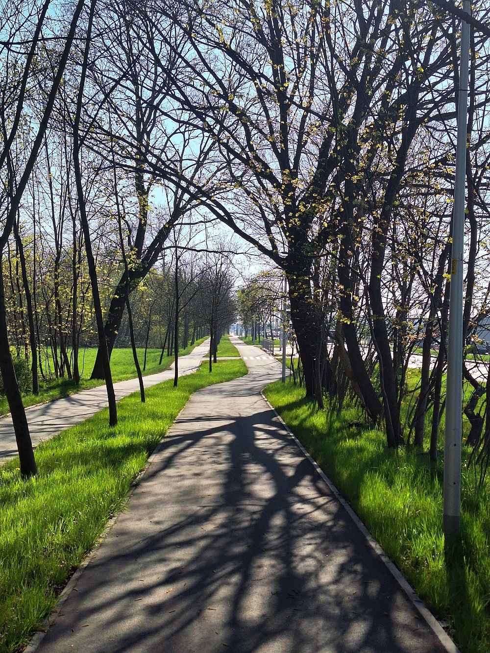 2pok, 38met, Okolice Szczęśliwej BALKON/PIWNICA (Wrocław) Fabryczna - zdjęcie 12