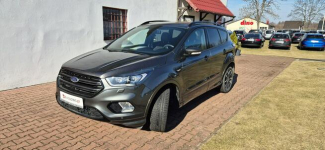 Ford Kuga GT-line-SALON PL Paproć - zdjęcie 3
