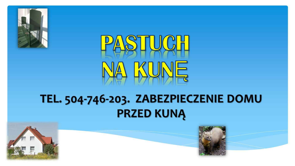 Elektryczny pastuch, na kuny, tel, 504-746-203. Pastuchy elektryczne, Psie Pole - zdjęcie 6