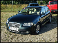 Audi A3 2.0TDi 140KM* DSG* skóra* panorama* serwis Nowy Sącz - zdjęcie 4