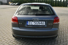 Audi A3 1,9TDI DUDKI11 Lift,Klimatronic 2 str.Alu,kredyt.OKAZJA Kutno - zdjęcie 10