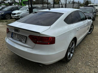 A5 3.0 TDI 239KM s-line NAVI xenon SKÓRA klima SERWIS bezwypadek 2010 Tychy - zdjęcie 3