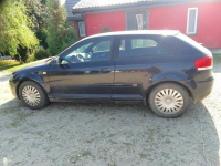 Audi A3 Skieblewo - zdjęcie 7